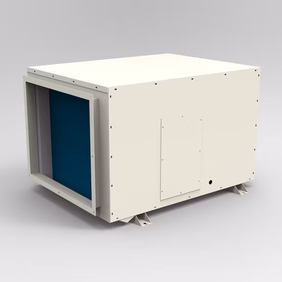 Deumidificatore industriale montato a soffitto con aria fresca da 240 litri al giorno