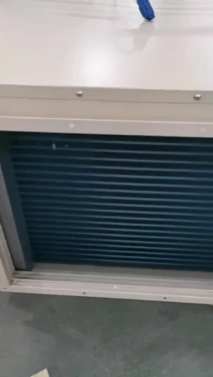 Deumidificatore industriale a soffitto montato su condotto da 250 pinte di fabbrica in Cina per unità di trattamento dell'aria